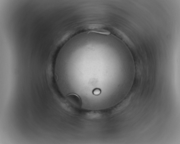 X0000115850354200911201618