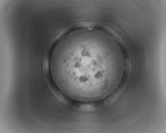 X0000115850358200911201618