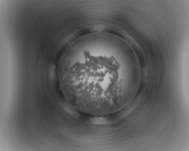 X0000115850361200911201618