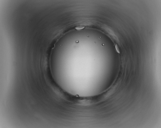 X0000115850362200911201618