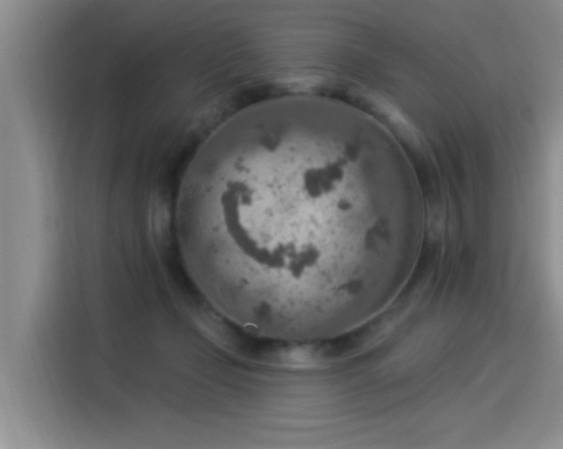 X0000115850365200911201618