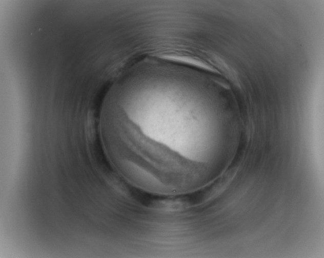 X0000115850366200911201618