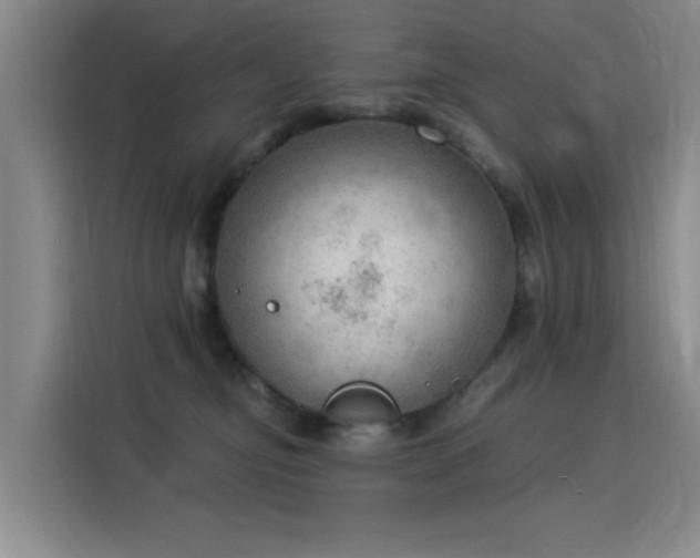 X0000115850374200911201618