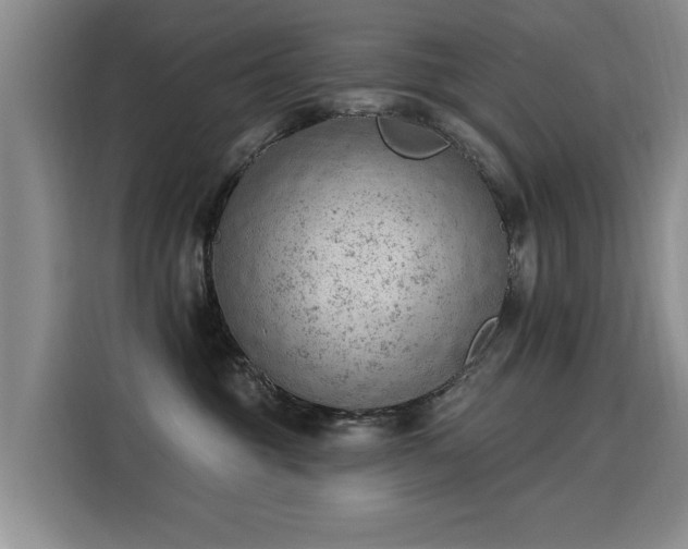 X0000115850381200911201618