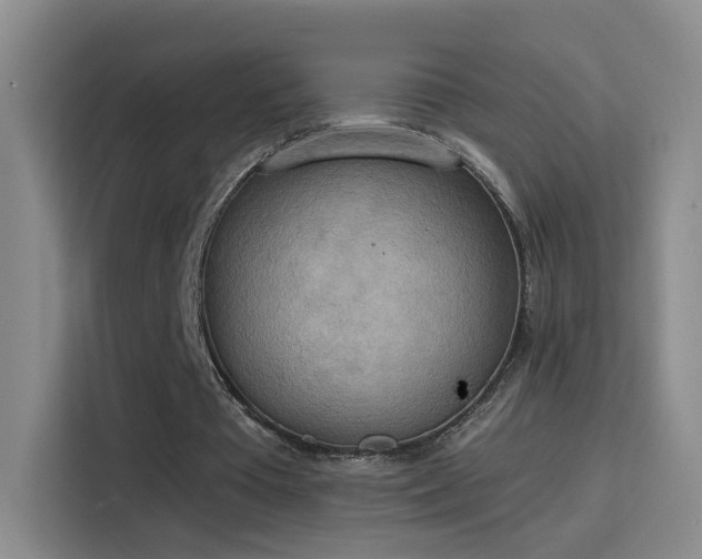 X0000115850385200911201618