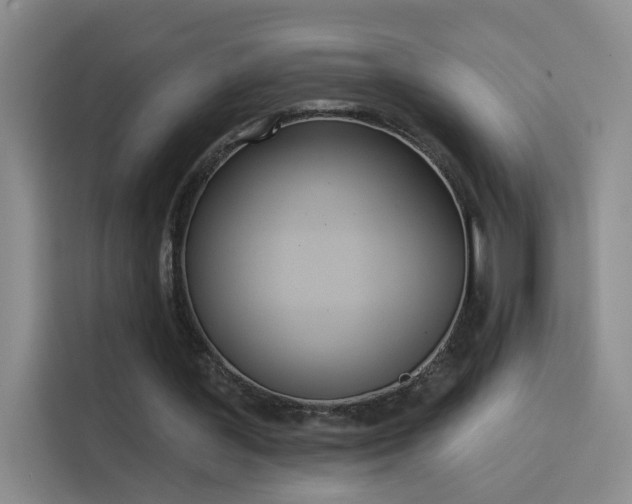 X0000115850387200911201618