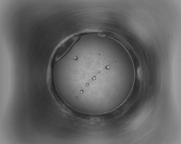X0000115850388200911201618