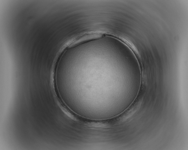 X0000115850389200911201618