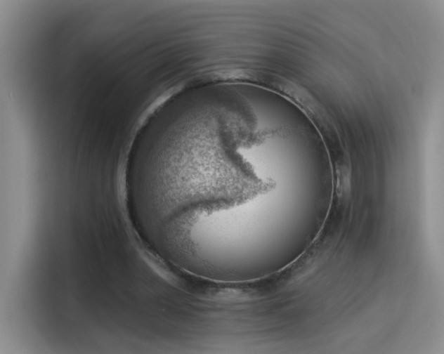 X0000115850390200911201618