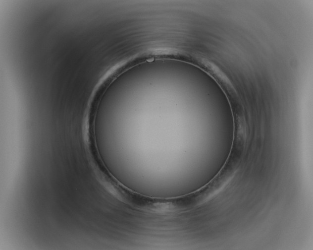 X0000115850391200911201618