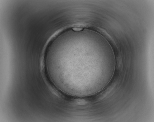 X0000115850392200911201618
