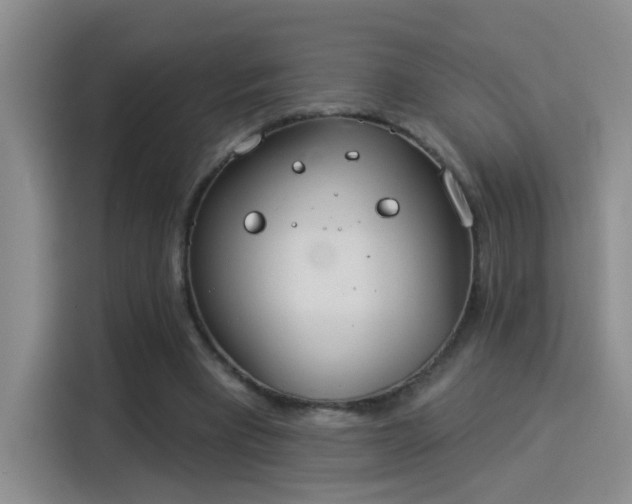 X0000115850393200911201618