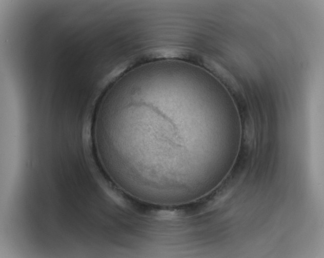 X0000115850394200911201618