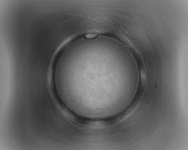 X0000115850396200911201618