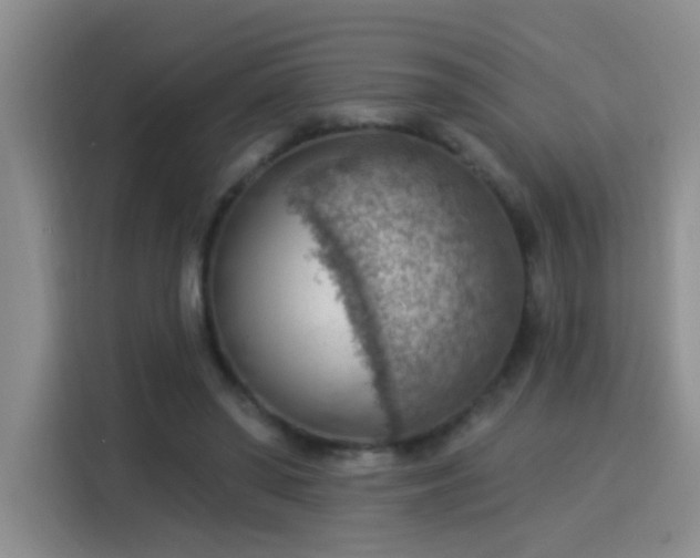 X0000115850398200911201618