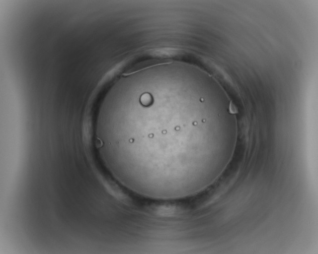X0000115850400200911201618