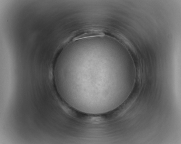 X0000115850401200911201617
