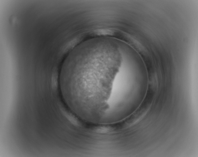 X0000115850402200911201617