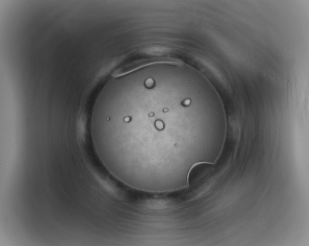 X0000115850404200911201617