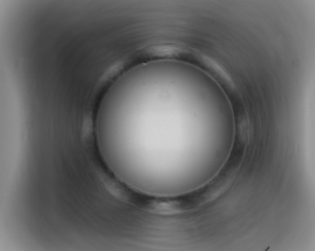 X0000115850407200911201617