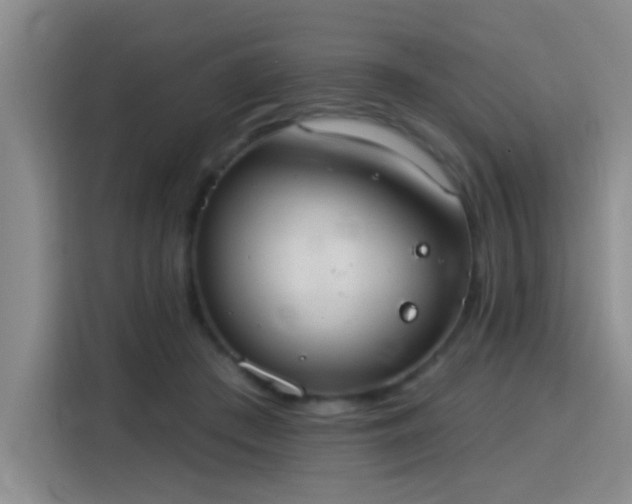 X0000115850409200911201617