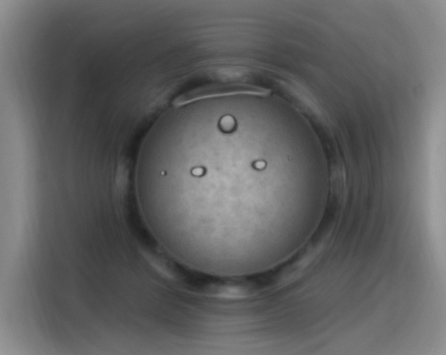 X0000115850412200911201617