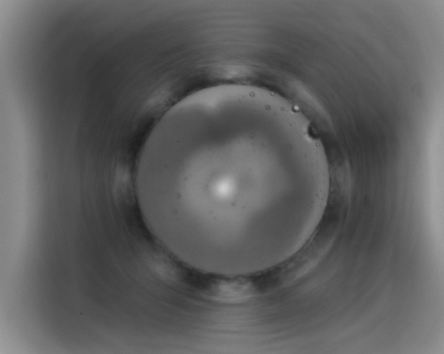 X0000115850415200911201617