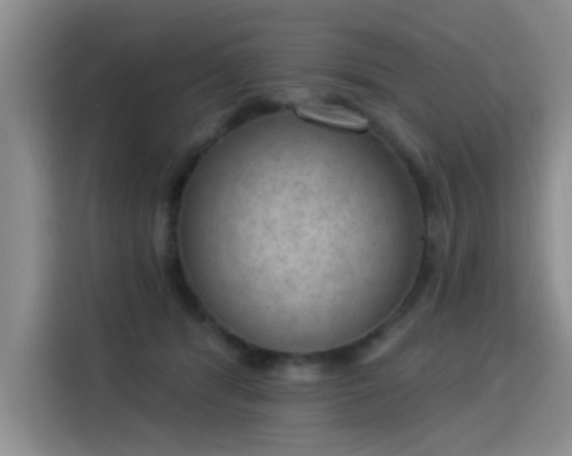 X0000115850416200911201617