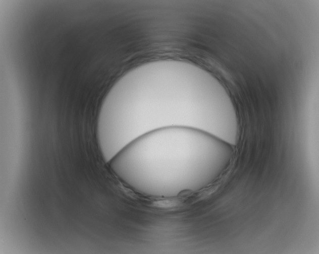 X0000115850417200911201617