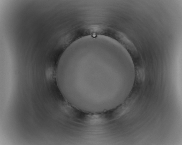 X0000115850419200911201617