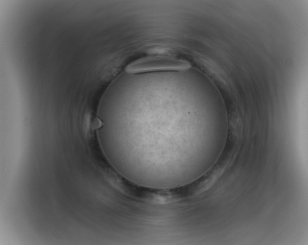 X0000115850420200911201617