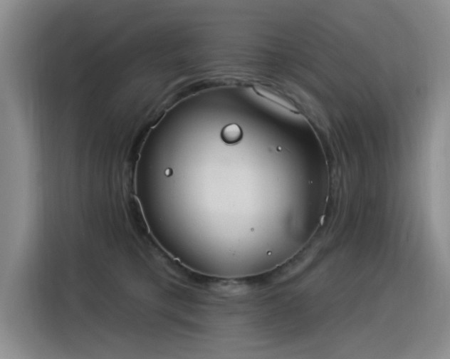 X0000115850421200911201617