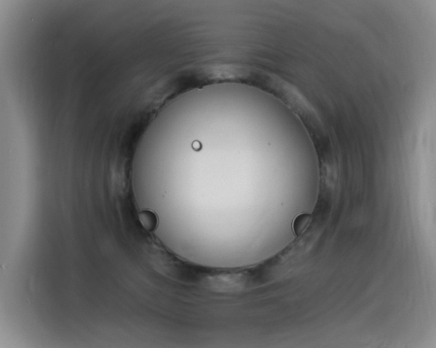 X0000115850422200911201617