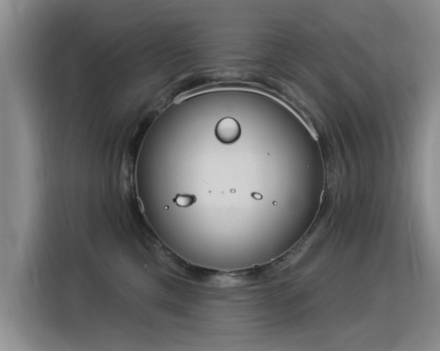 X0000115850425200911201617