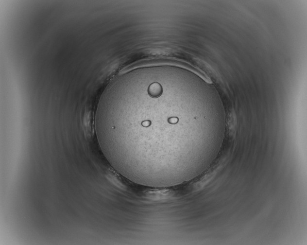 X0000115850428200911201617