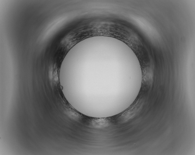X0000115850431200911201617