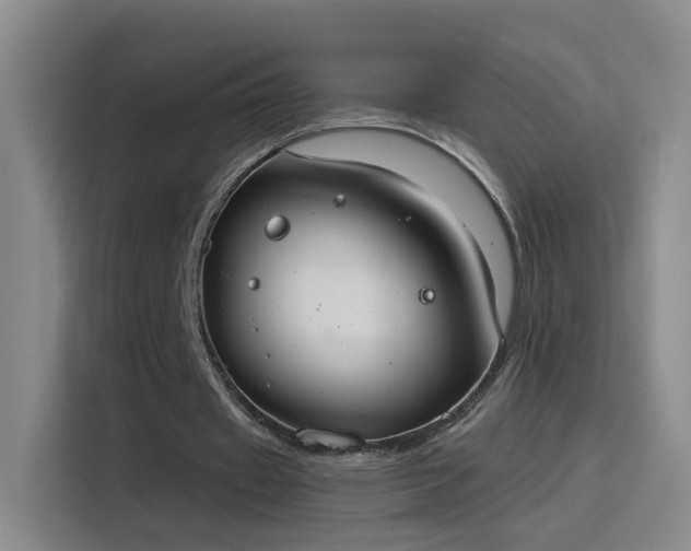X0000115850433200911201616