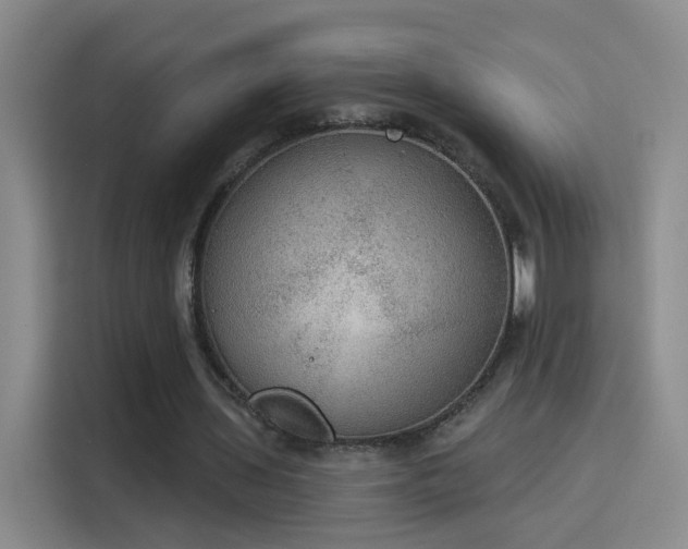 X0000115850435200911201616