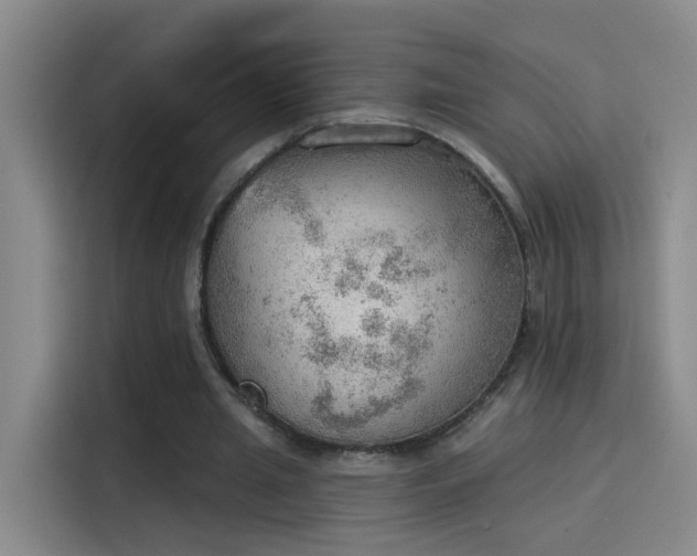 X0000115850437200911201617