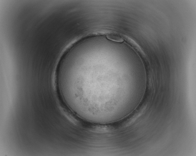 X0000115850439200911201617