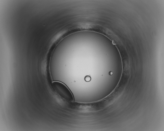 X0000115850440200911201617