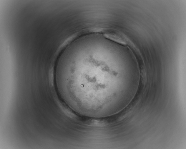 X0000115850442200911201617