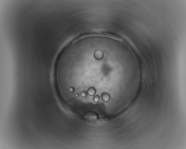 X0000115850443200911201617