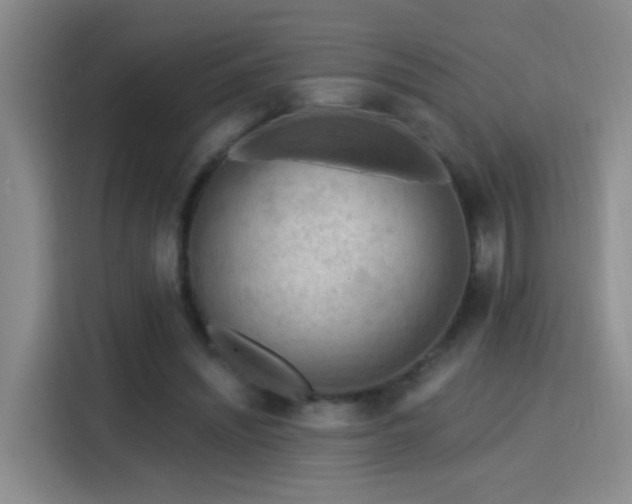 X0000115850444200911201617