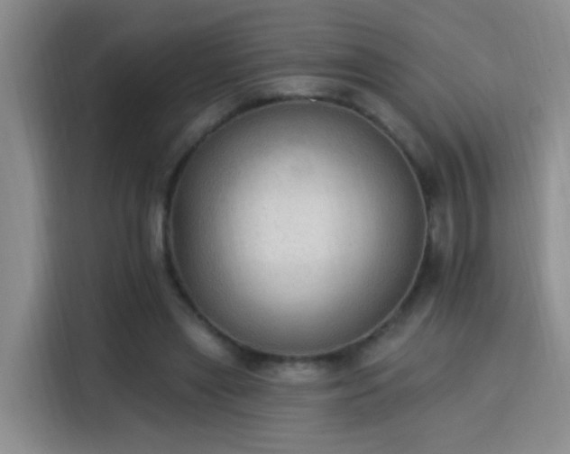 X0000115850445200911201617