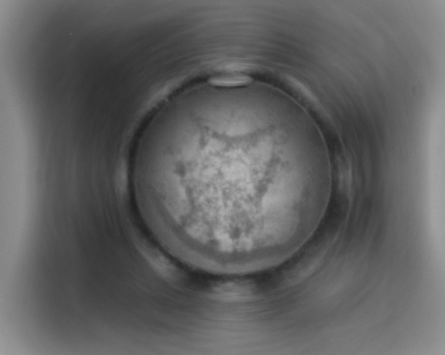 X0000115850447200911201617