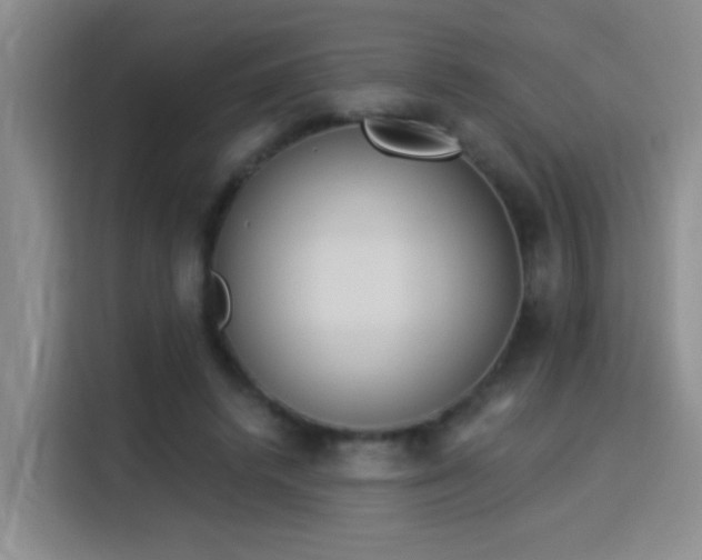 X0000115850448200911201617