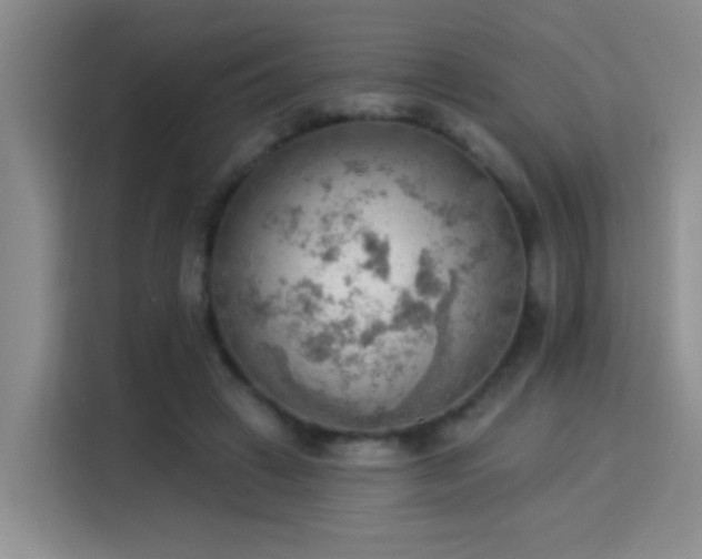 X0000115850449200911201617