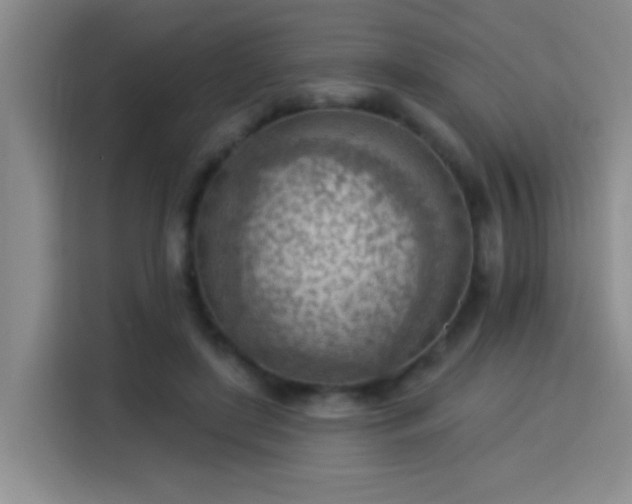 X0000115850451200911201617
