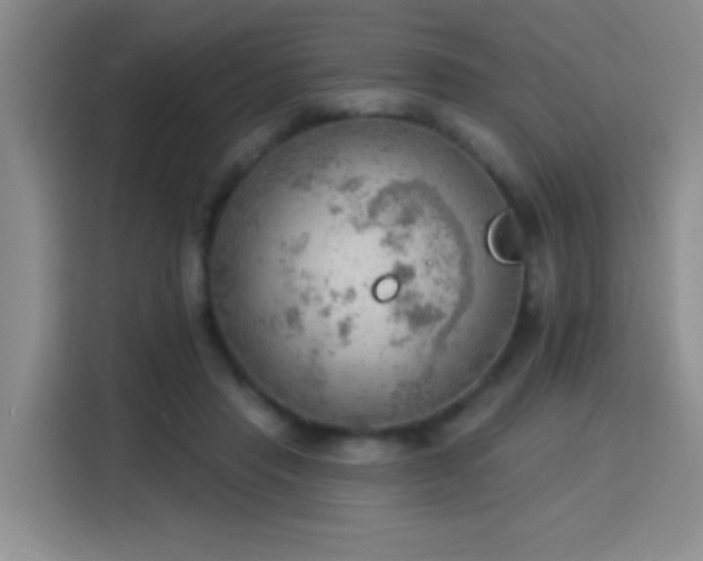X0000115850453200911201617